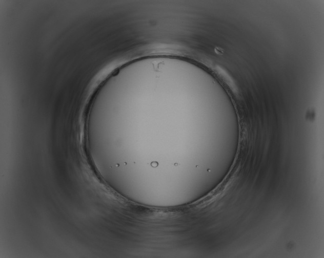 X0000095671419200801081028
