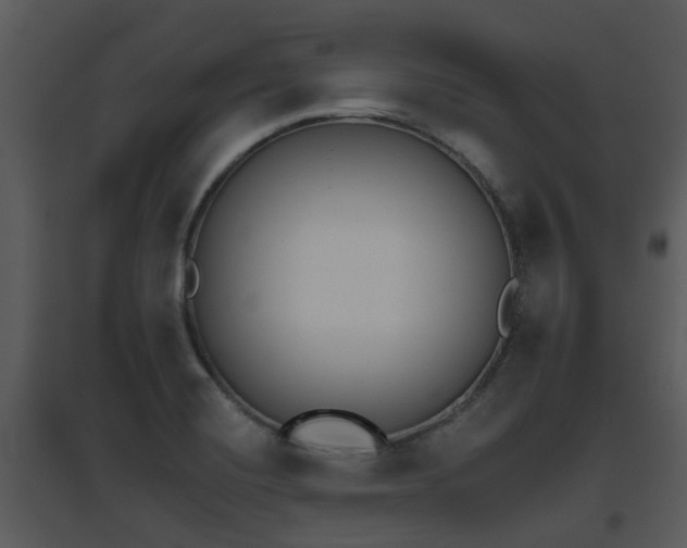 X0000095671420200801081028