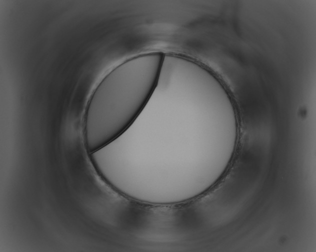 X0000095671421200801081028