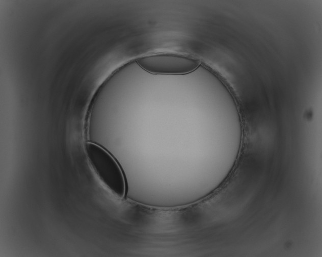 X0000095671423200801081028