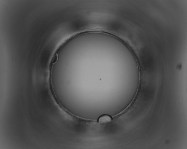 X0000095671424200801081028