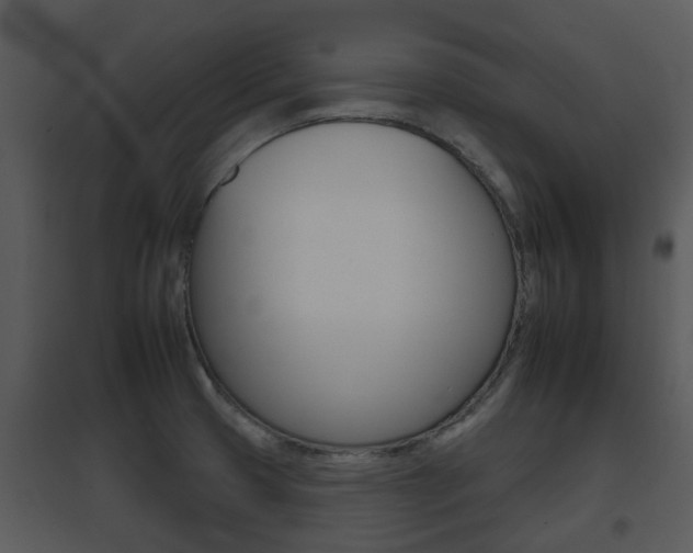 X0000095671425200801081028