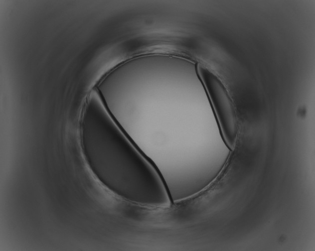 X0000095671426200801081028