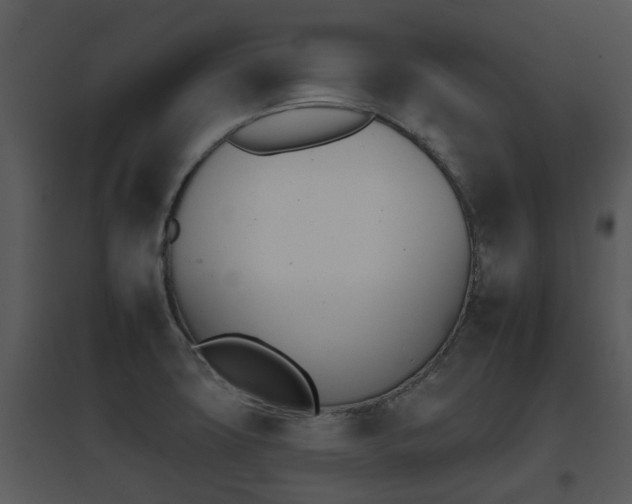 X0000095671427200801081028