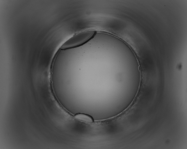 X0000095671428200801081028