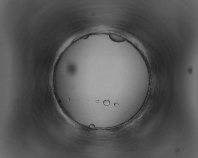 X0000095671429200801081028