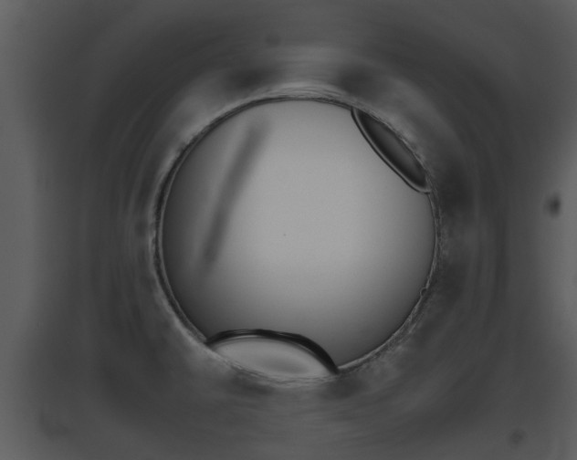 X0000095671430200801081028