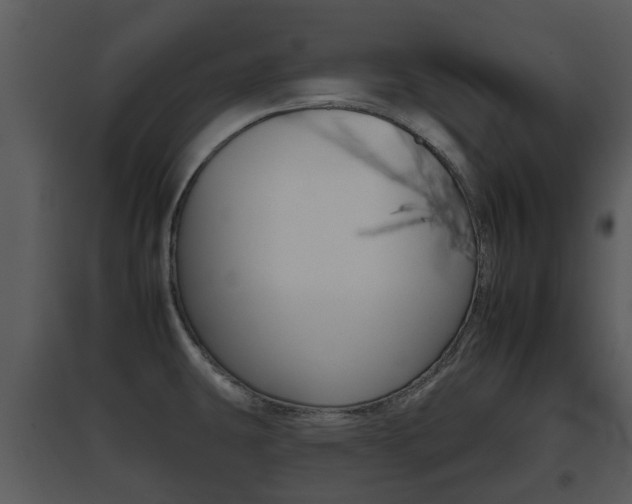 X0000095671431200801081028