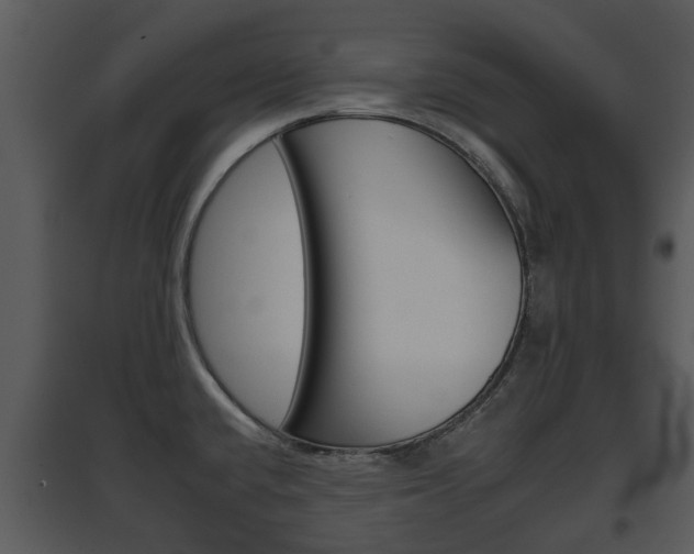 X0000095671432200801081028