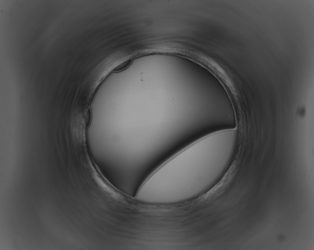 X0000095671433200801081028