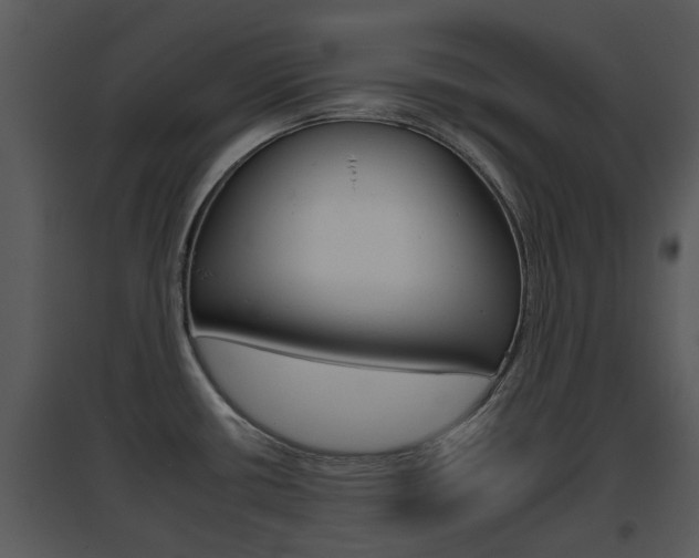 X0000095671434200801081028