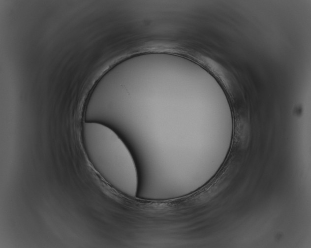 X0000095671435200801081028
