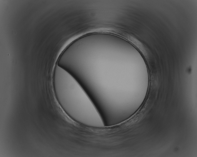 X0000095671436200801081028