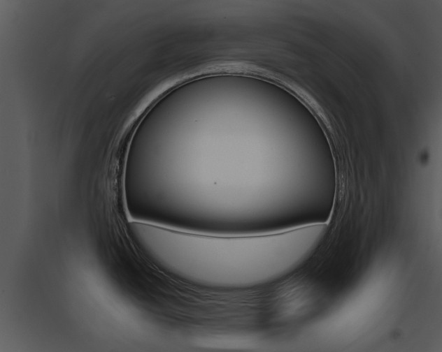 X0000095671438200801081028