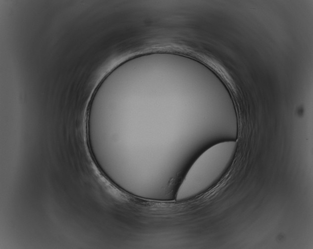X0000095671439200801081028