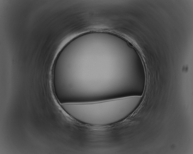 X0000095671440200801081028