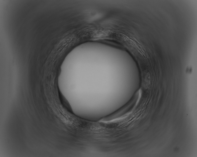 X0000095671441200801081028