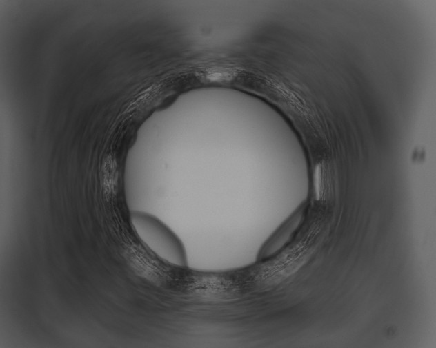 X0000095671443200801081028