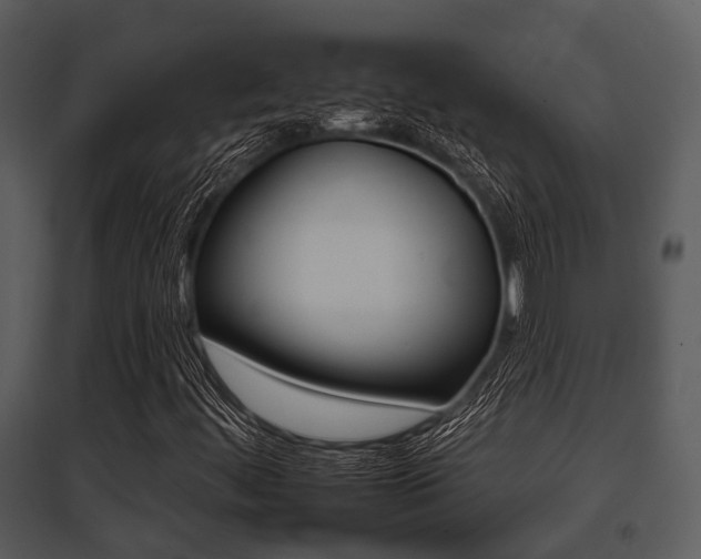 X0000095671444200801081028