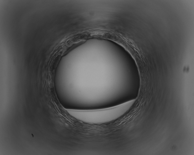 X0000095671445200801081028