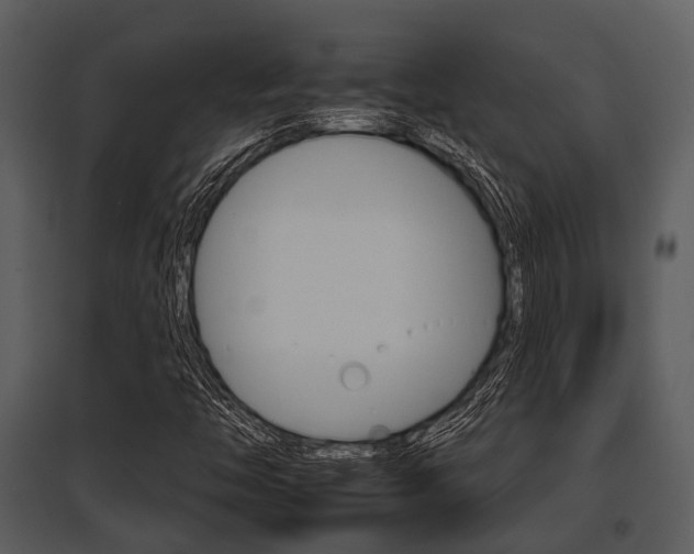 X0000095671446200801081028