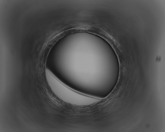 X0000095671448200801081028