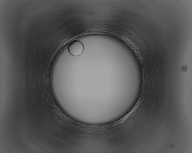 X0000095671449200801081028