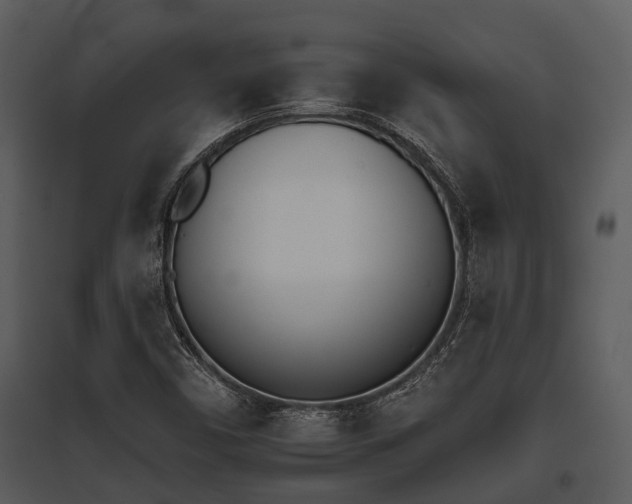 X0000095671450200801081028