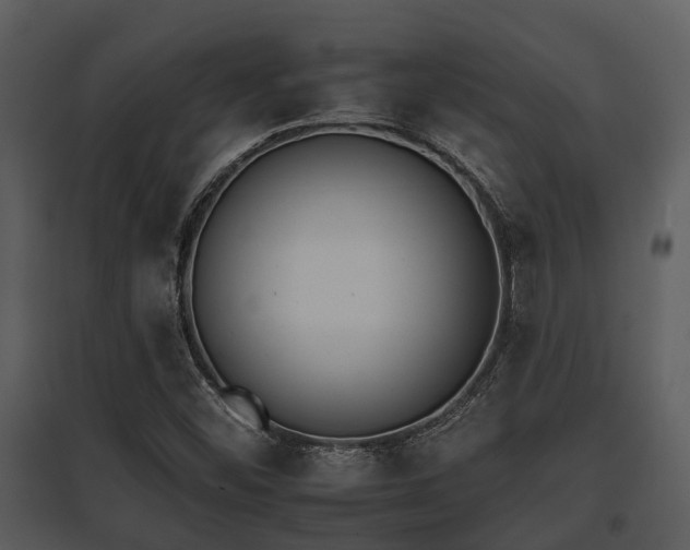 X0000095671452200801081028