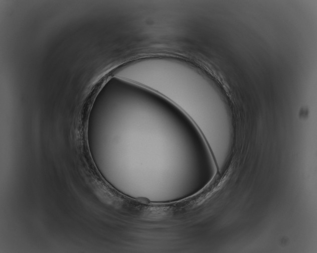 X0000095671453200801081028