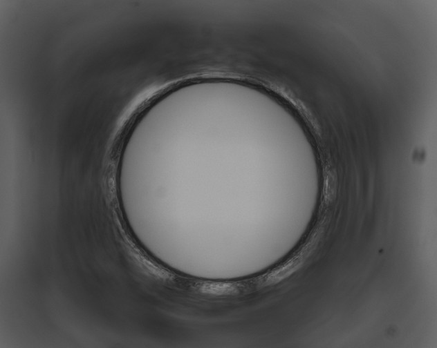 X0000095671454200801081028