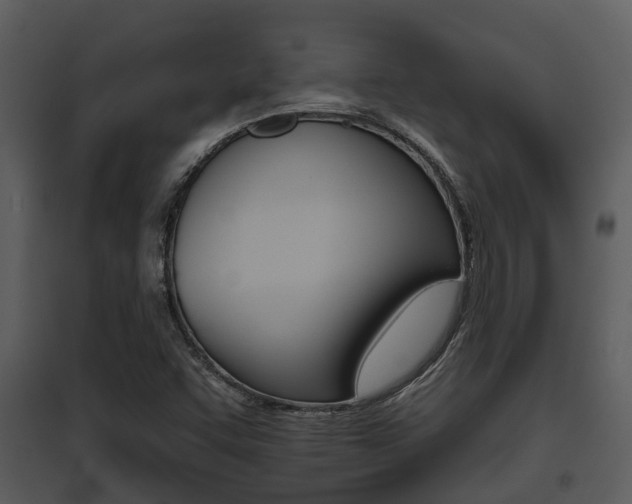 X0000095671455200801081028