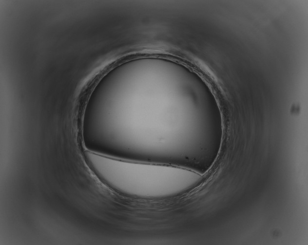 X0000095671456200801081028