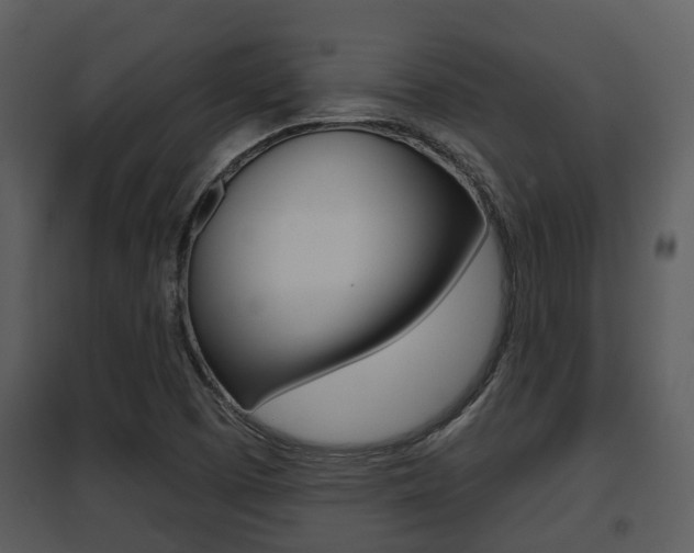 X0000095671457200801081028