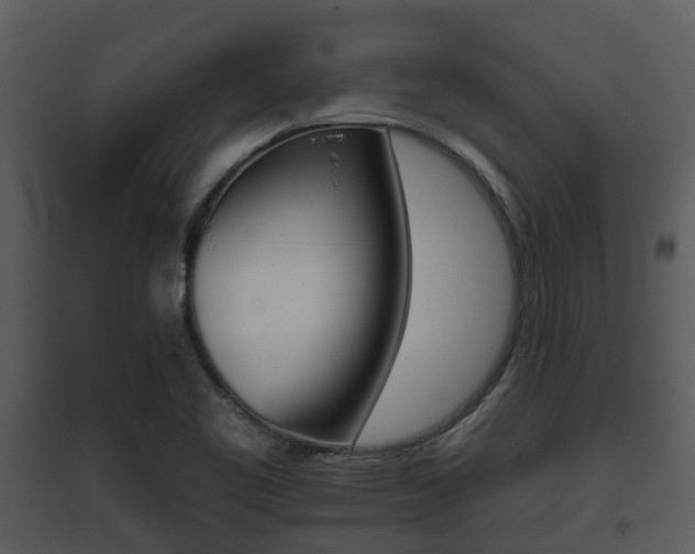 X0000095671461200801081028