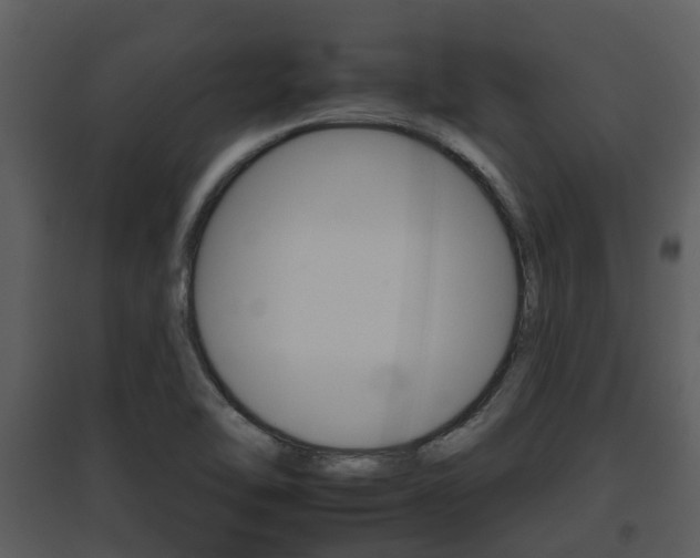 X0000095671462200801081028