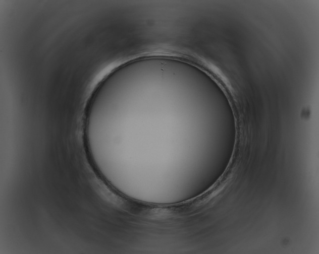 X0000095671463200801081028