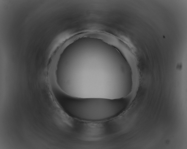 X0000095671464200801081028