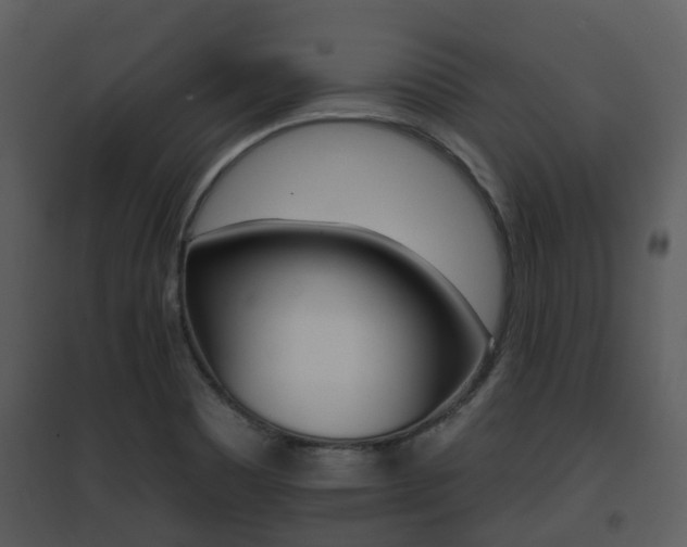 X0000095671465200801081028
