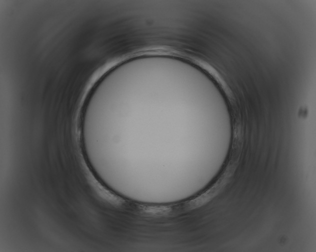 X0000095671466200801081027