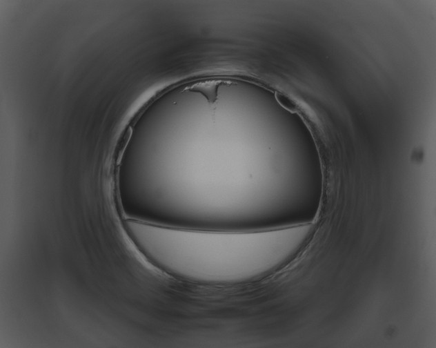 X0000095671468200801081027