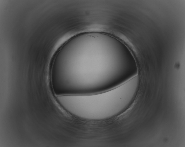 X0000095671469200801081027