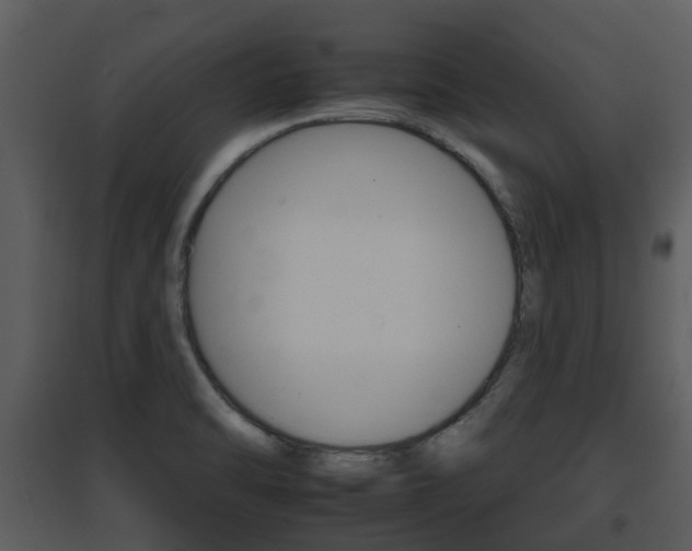 X0000095671470200801081027