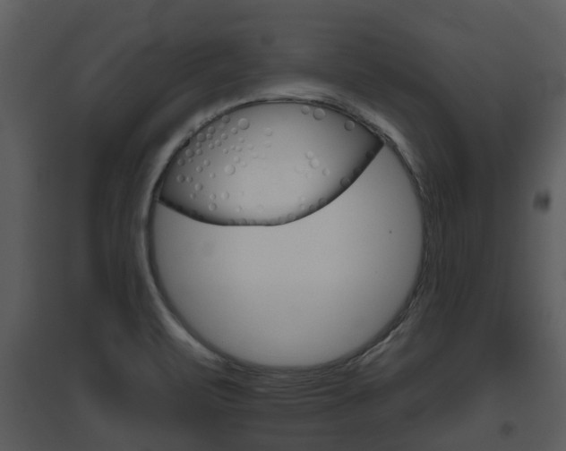 X0000095671471200801081027