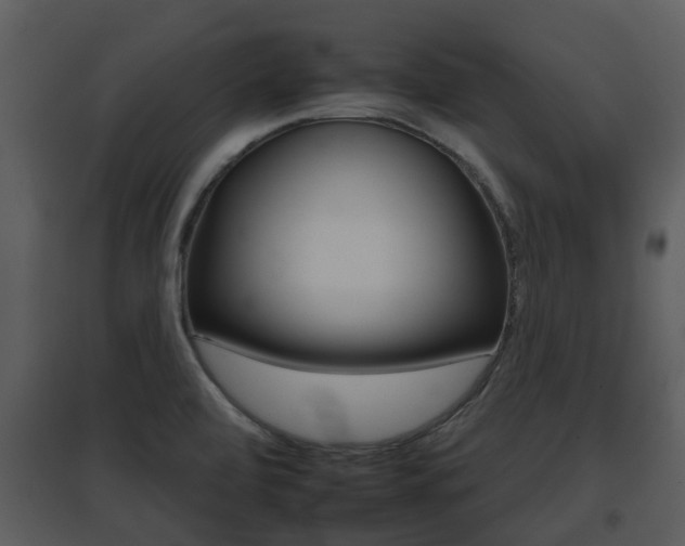 X0000095671472200801081027