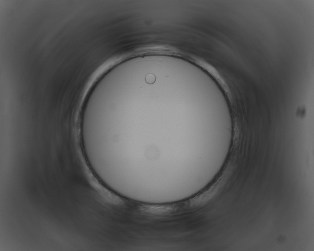 X0000095671474200801081027