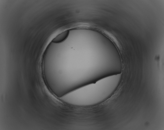 X0000095671475200801081027