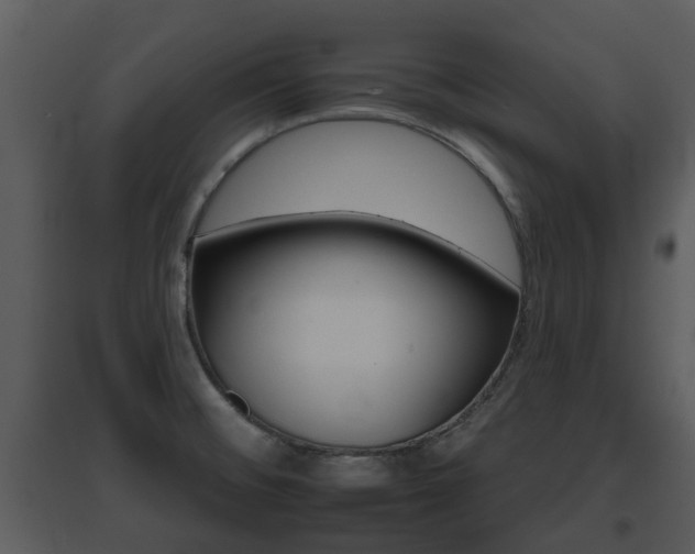 X0000095671476200801081027
