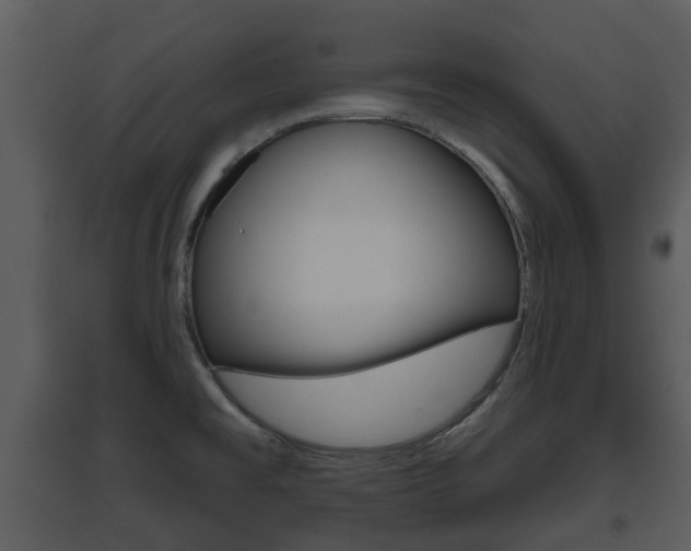 X0000095671477200801081027
