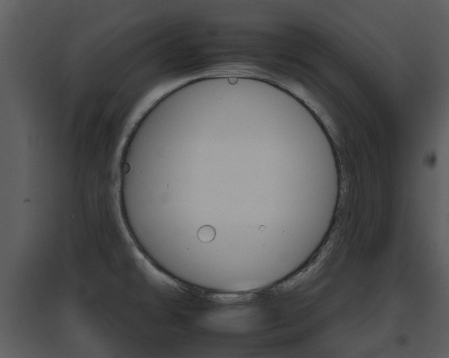 X0000095671478200801081027